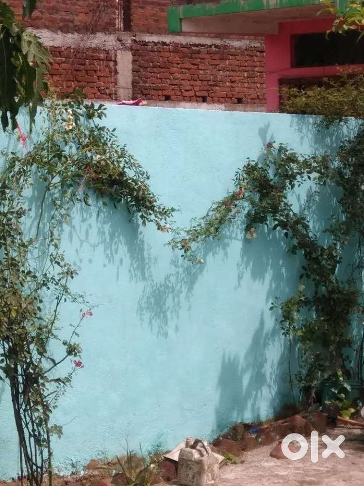 4 Dismil House and garden