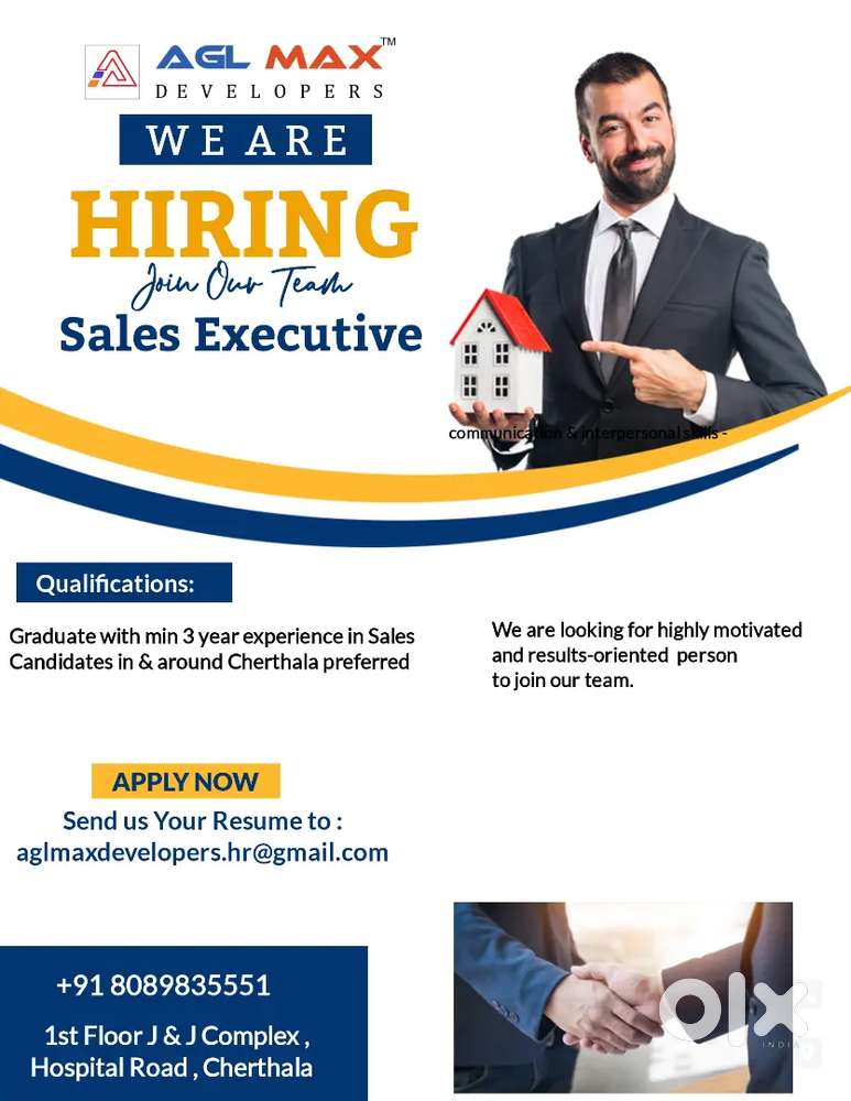 Sales Executive