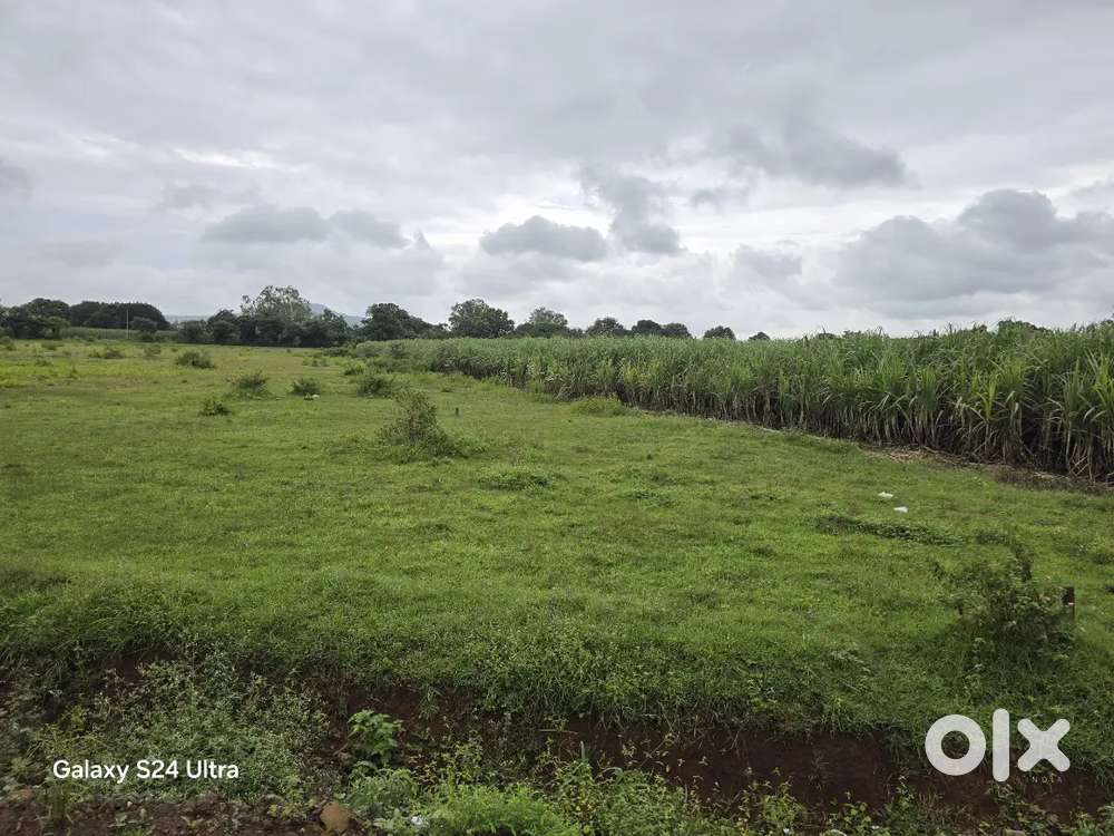 Agriculture land for sale