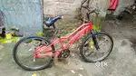 Bicycle – Normal Condition, Ready to Ride
