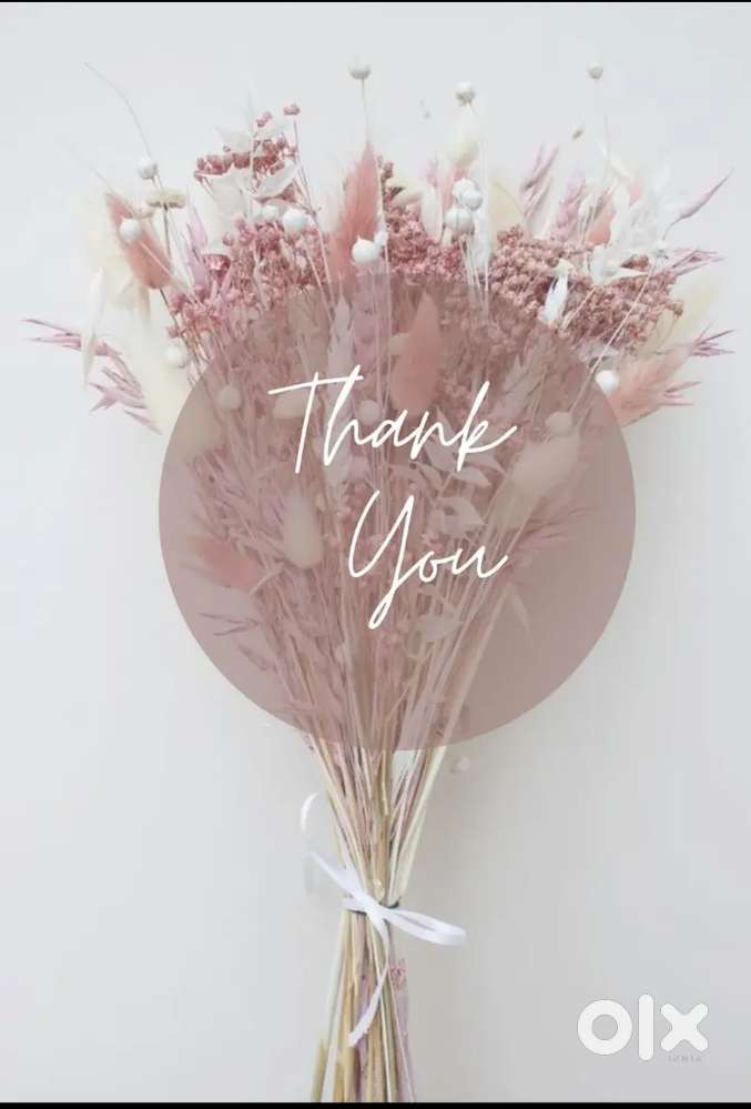 I am driver , looking for job