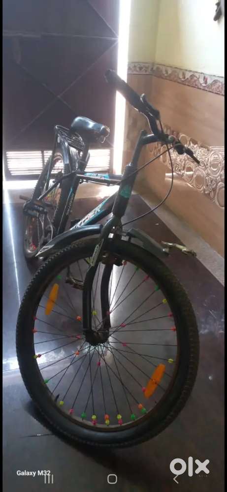 Stryder Rower Bicycle – Excellent Condition, 1.3 Years Old