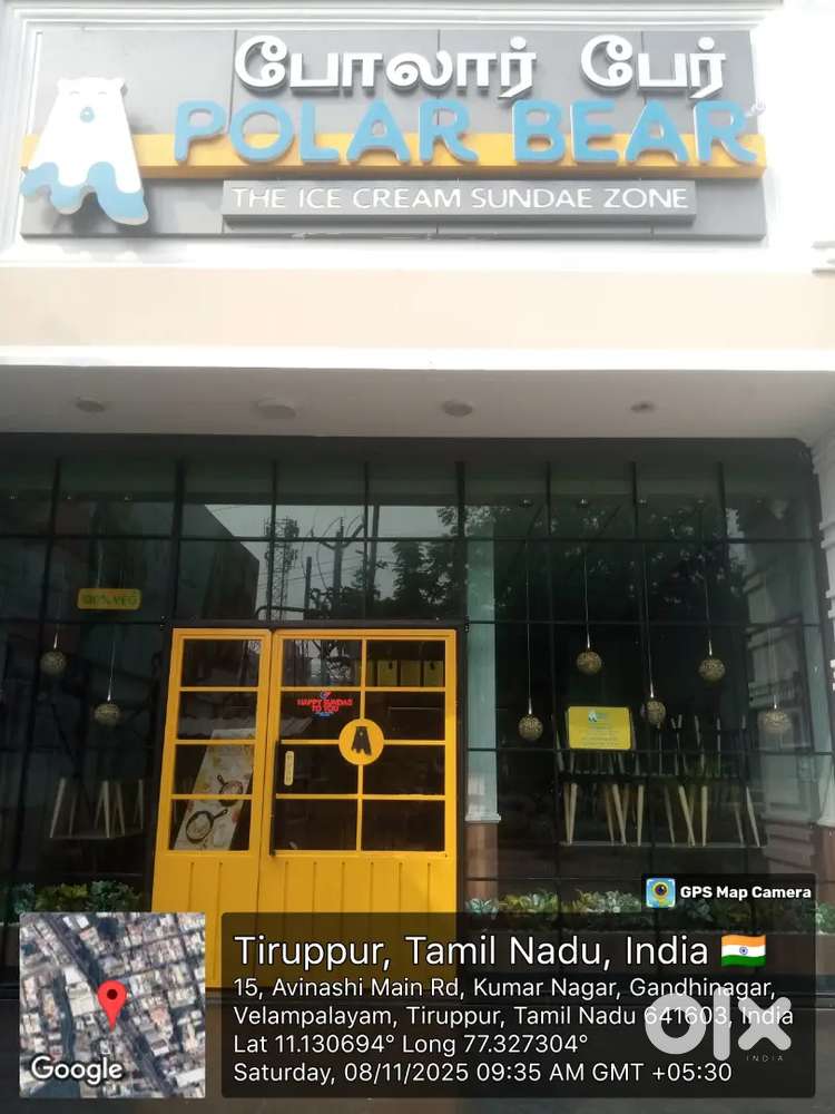 Polar bear icecream shop