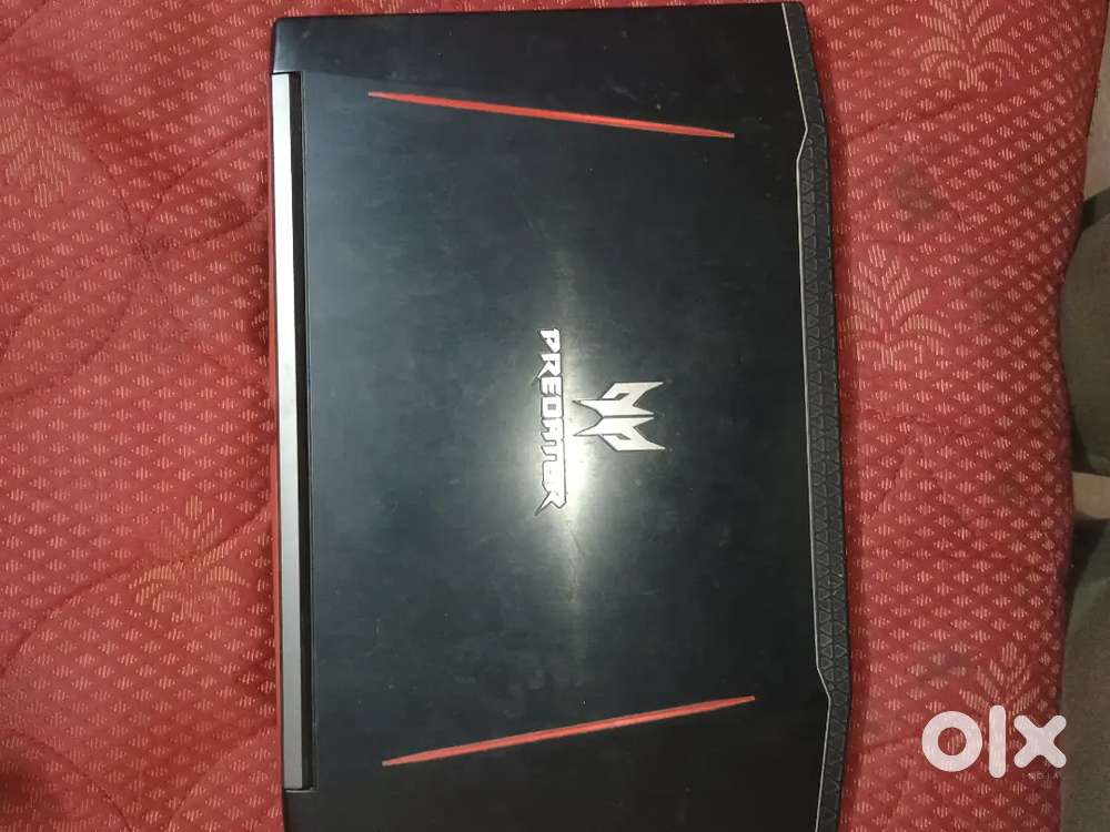 Acer predator