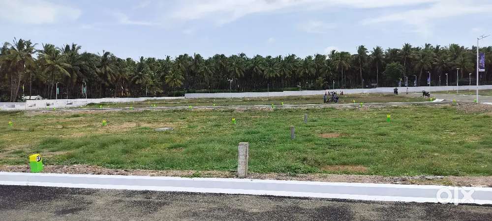 DTCP Land for Sale in Pollachi