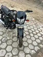 Honda shine 2024
