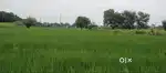 Bhai jis bhi bhai ko jameen chachiye khet kvo sampark kare