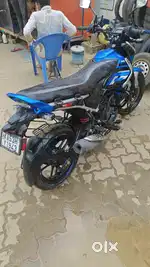 Bajaj freedom bike 2024
