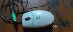 Computer  Mouse