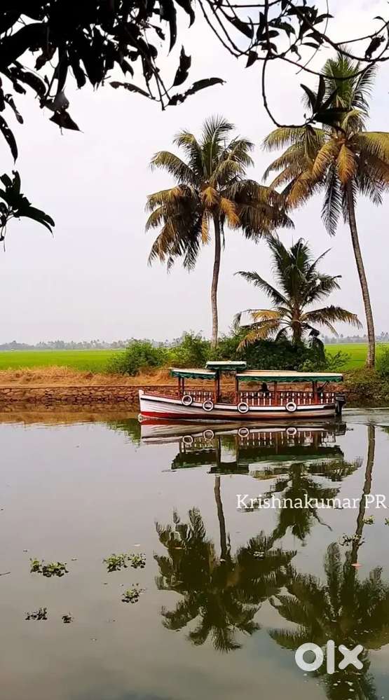 Wanted experienced chef for a three star hotel at munnar 150 rooms