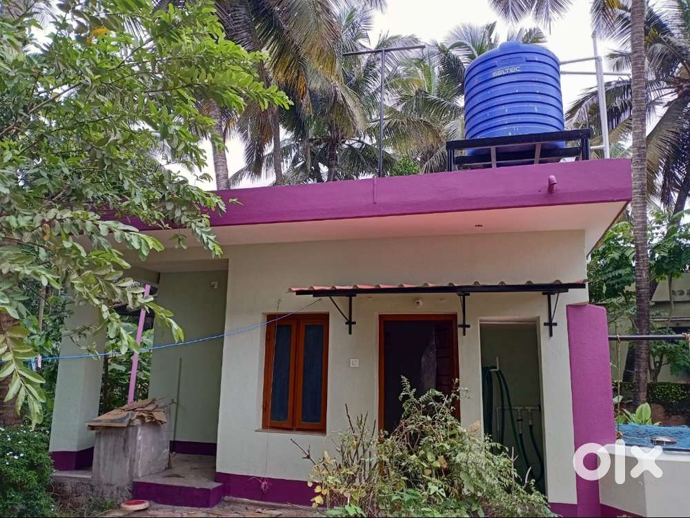 House for Rent Pandit House
