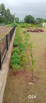 NEW RESIDENTIAL PLOTS FOR SALE AT VT-AGRAHARAM (VIZIANAGARAM)