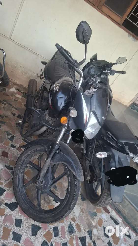 Shine for sell urgent