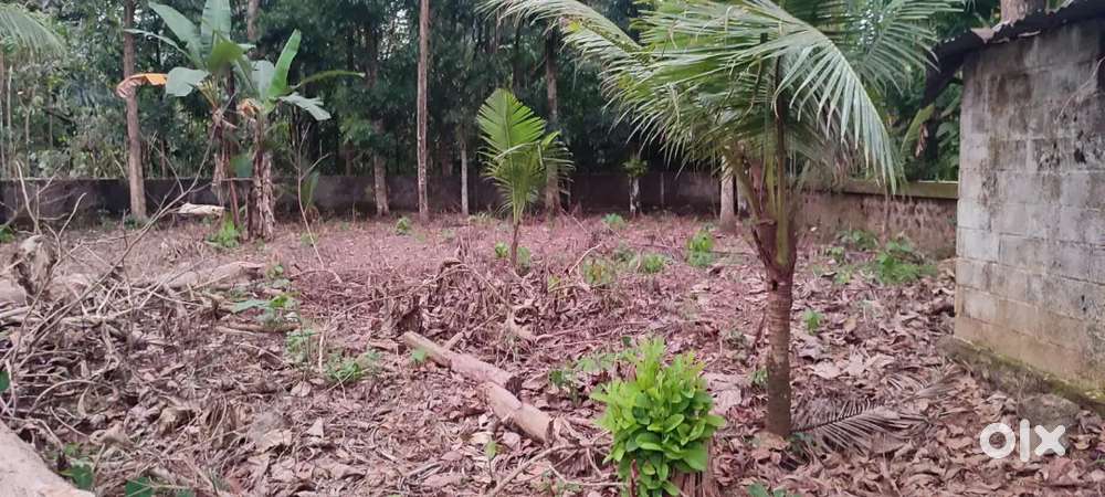 15 cent plot for sale ithithanam changanchery