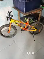 Caya cycle