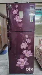 Samsung RT3 double door 320L Refrigerator