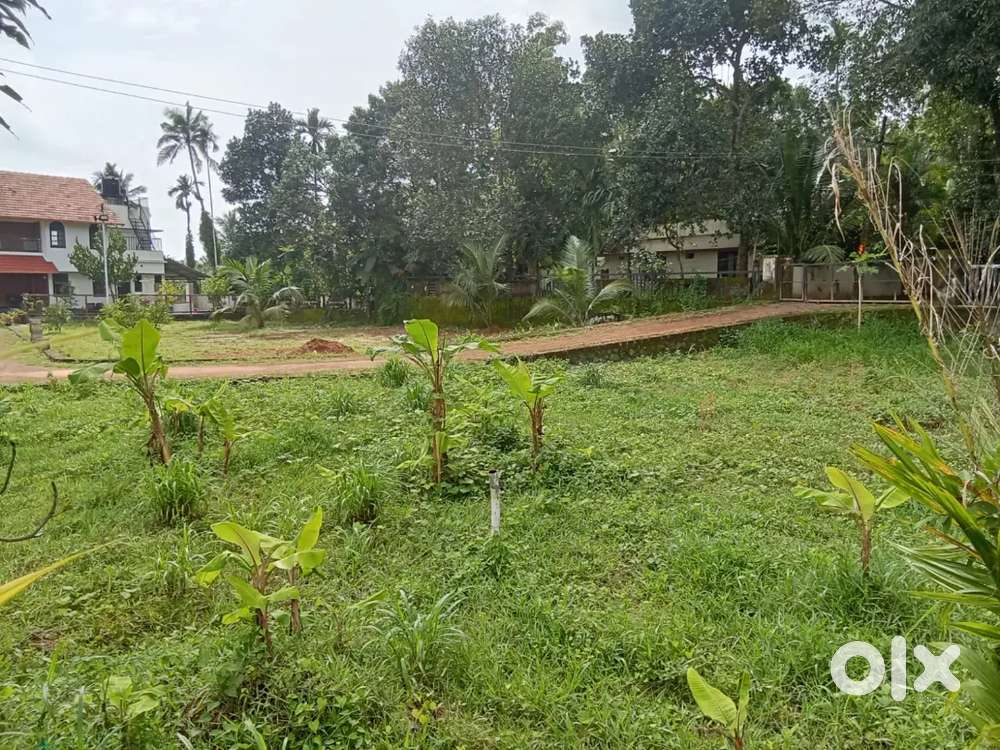 - Just ₹4.5 lakhs per cent