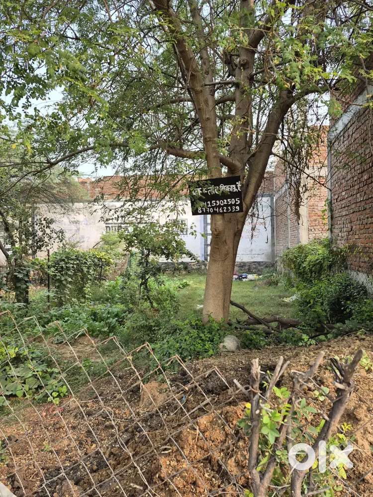 Plot for sell 1500 sqft at laal tipara near gowsalla