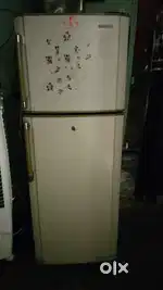 SUMSUNG double door