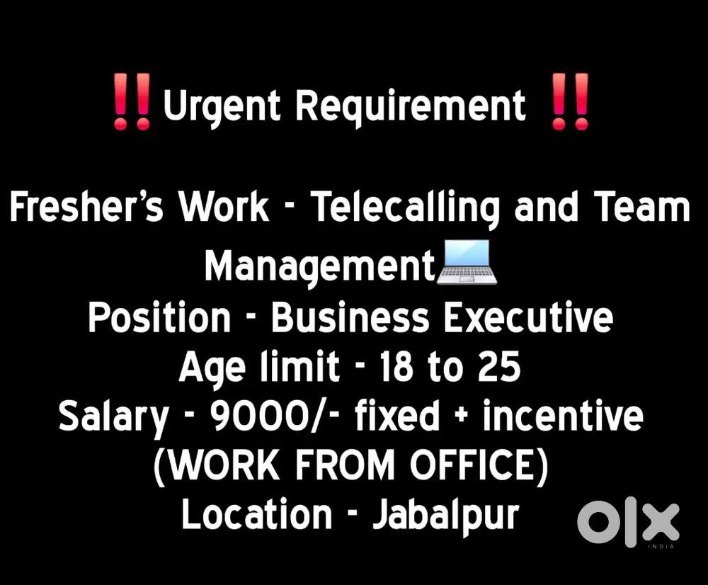 Calling Job For fresher's