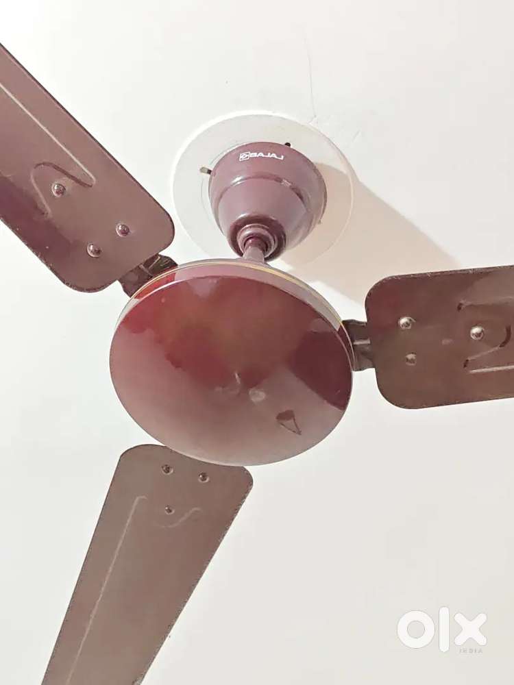 Bajaj celing Fan