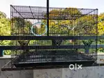 Bird cage for sale