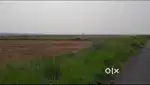Prime Residential/Commercial Land for Sale in Sonepur, Near Nayagaon,