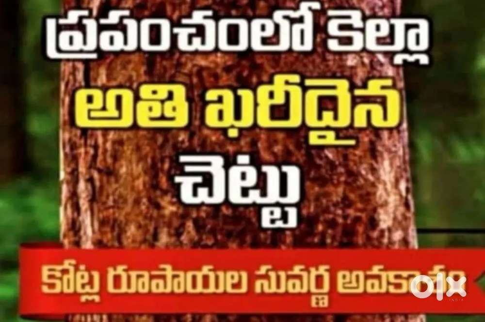 702/- per yqd Farm land for sale at near Kanigiri