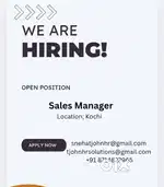 Sales Manager