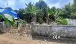 5.5cent CHALAKUDY MELOOR   വെള്ളപ്പൊക്കം ബാധിക്കാത്തത്
