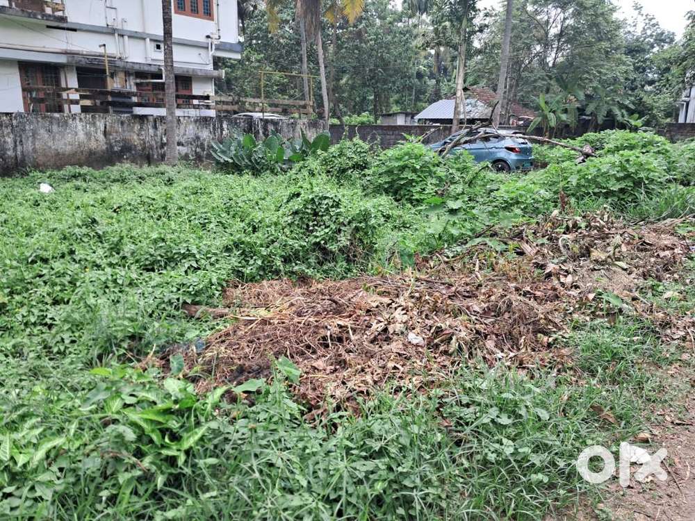 6 Cents of Residential Land in Eroor.