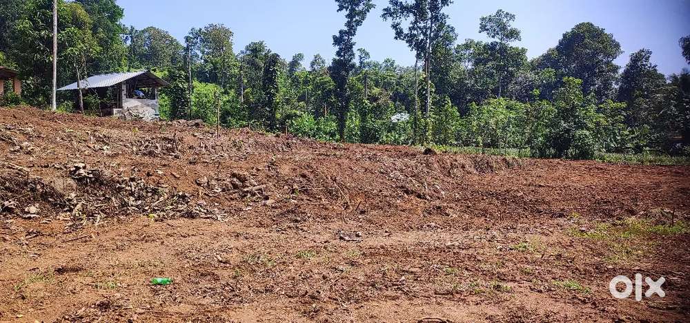 Kodugoor.12 cent plot. 1.10 .lakh.