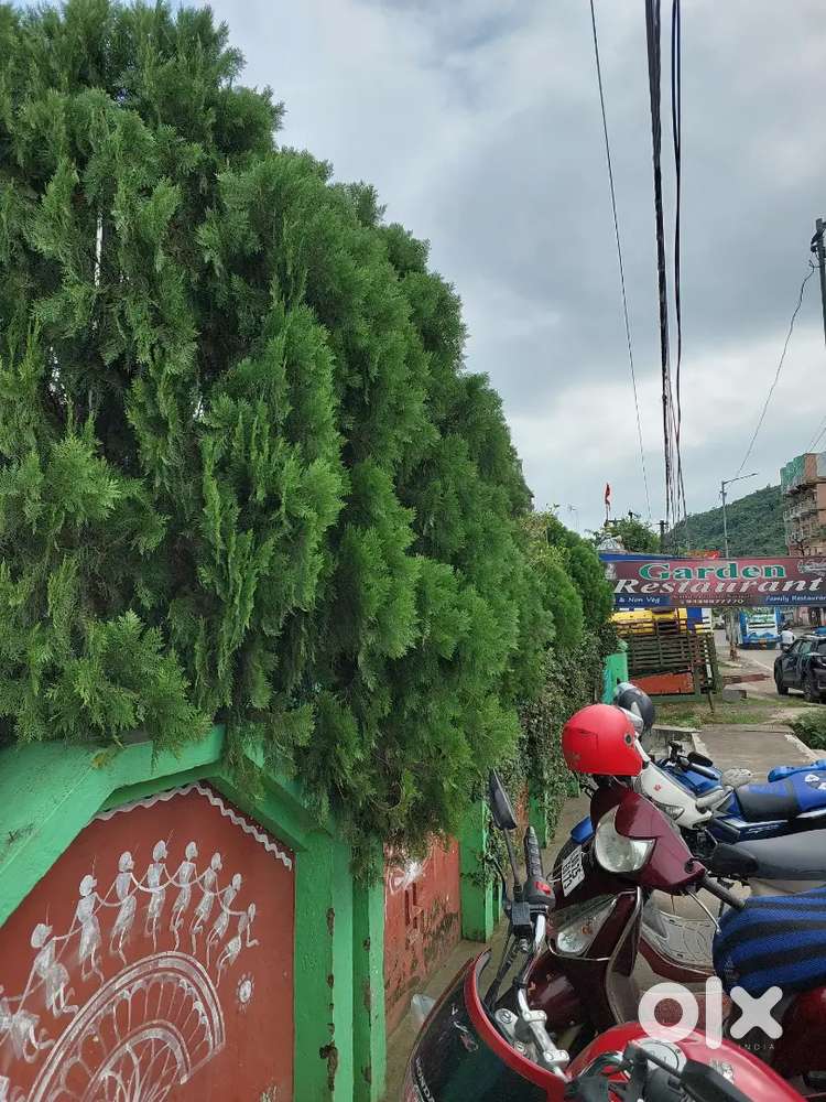 Restaurant all Staff Requirement