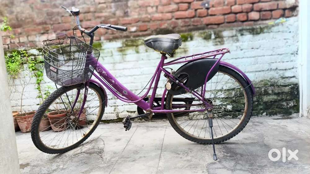 95ARKO lady destiny - color purple