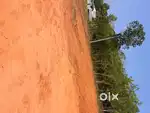 Land area, paranthal
