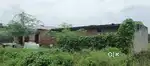 250  gaj ka plote h jalesar road par nagla nahra jaleswar road sea 200