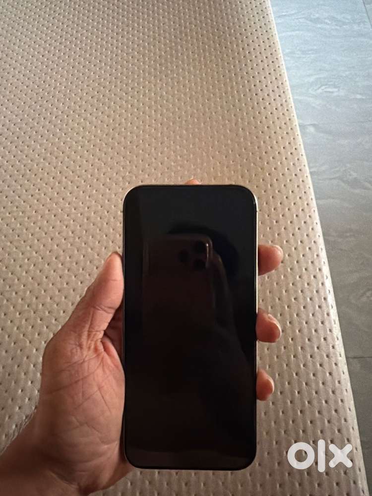 Iphone 16 pro max Fix price