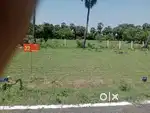 Individual land for sales