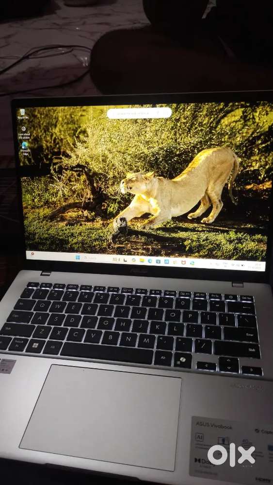 Asus Vivo book 14