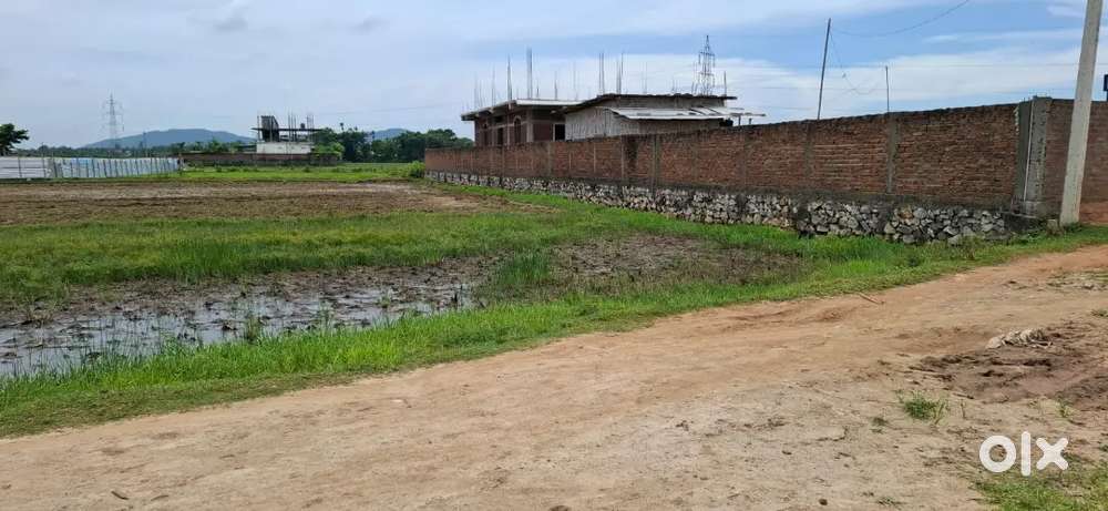 Selling property near bongora