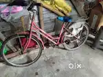 Ledies cycle