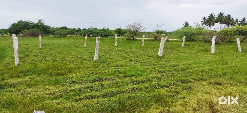 Land for sale, கலைவாணி  நகர் , கடைசனேந்தல் மதுரை , madurai