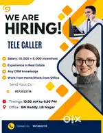 Tele caller for real estate (work from home/office)