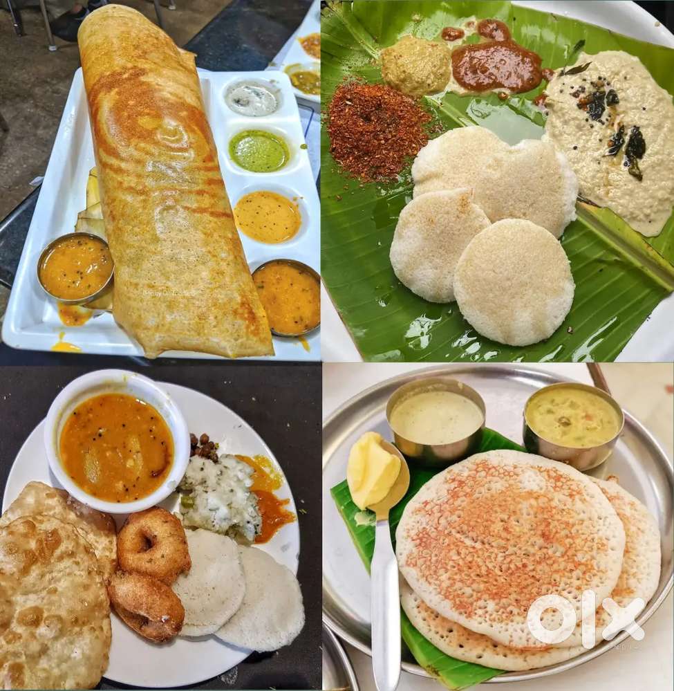 I M Berhampur Tiffin Mistri, I M South Indian Cook Dosa Specialist,