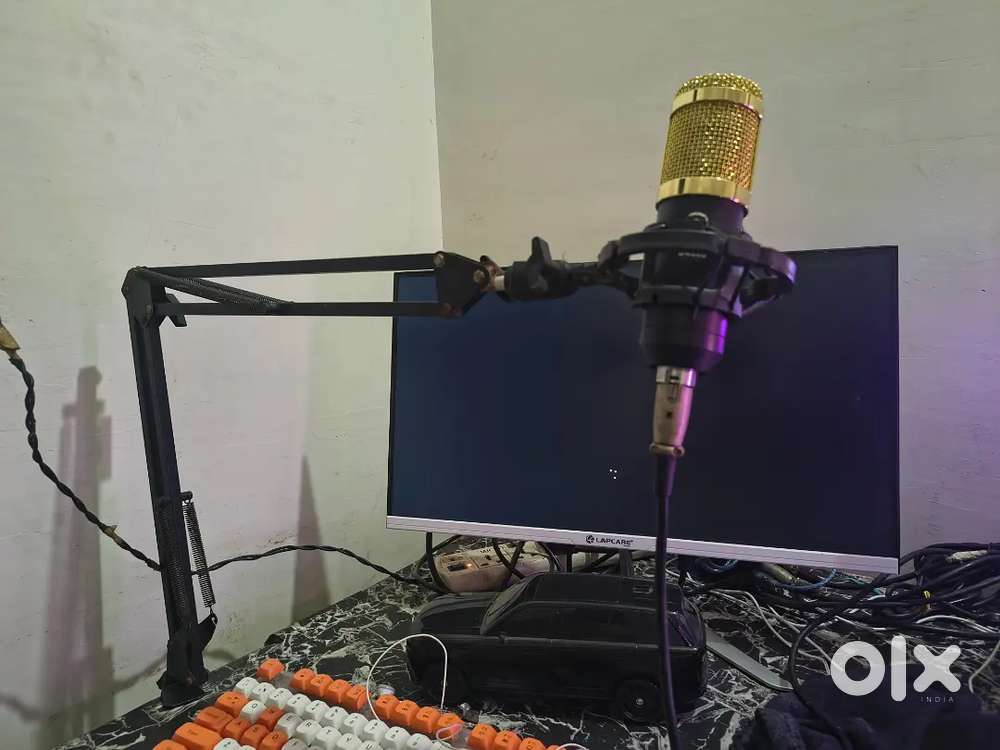 Bm 800 microphone