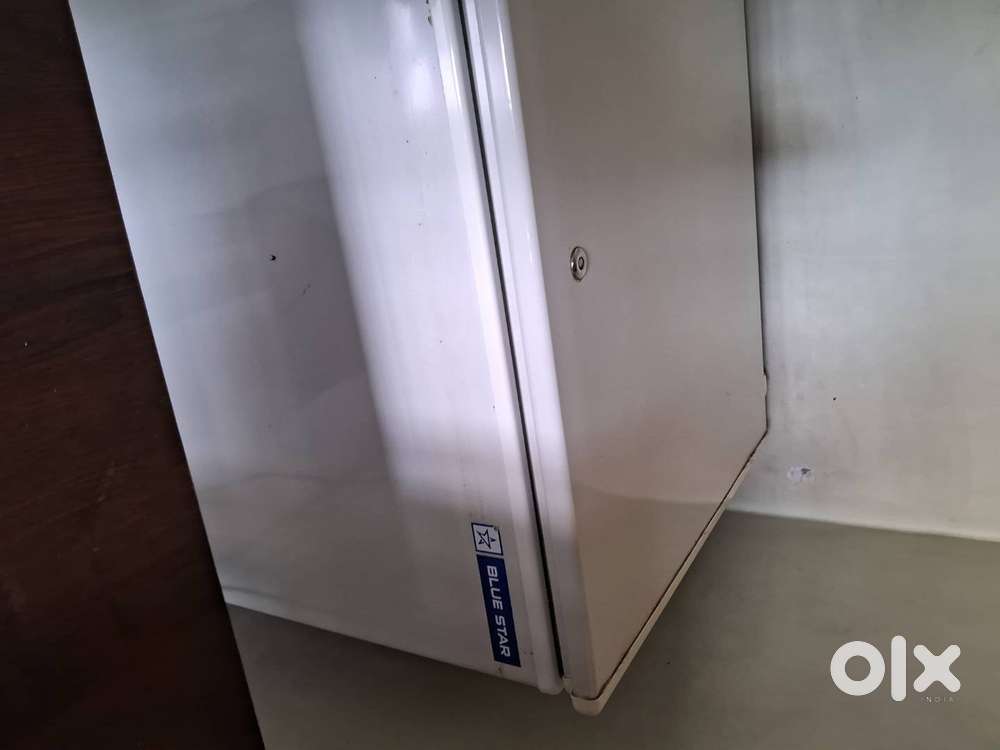 Blue Star 484 ltr Deep Fridge