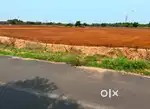 Land / Agriculture land