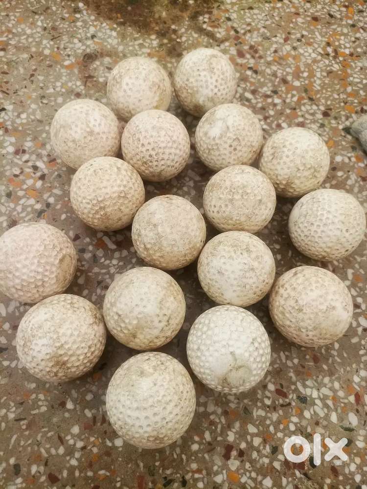 Cricket synthetic ball