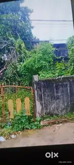Old building on 5000 sqft plot