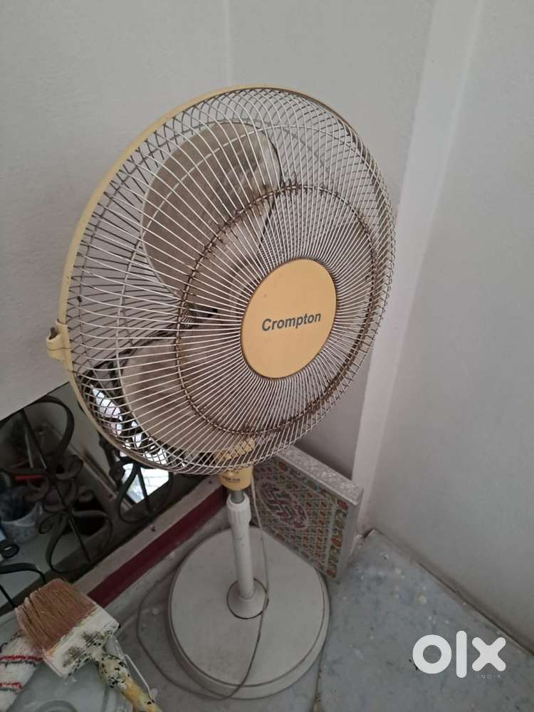 Bajaj Ceiling Fan, Floor Standing Fan and Linolium carpet available